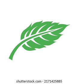 Green leaf graphic vector illustration. Perfect for eco-friendly projects, nature-related designs, or organic branding in digital and print media.