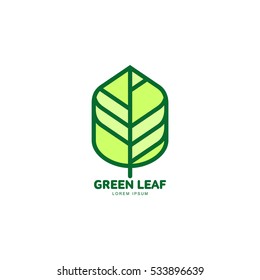 Green leaf growing up logo template, vector illustration isolated on white background. Graphic green leaf logotype template with text below, environment protection, nature, growth, development concept
