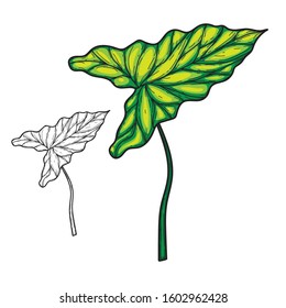 Green leaf hand drawing doodle style