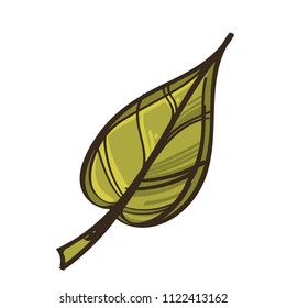 Green leaf in hand drawn, doodle style. Decorative plant element for greeting cards, invitations and much more. Vector illustration isolated on white background.