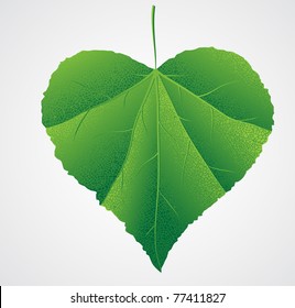 green leaf heart shape