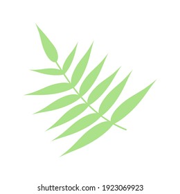 Hoja verde, elemento herbal. Ilustración vectorial de material aislada en fondo blanco. Se puede usar como signo aislado, símbolo, icono, para productos orgánicos. Ilustración plana vectorial botánico de primavera