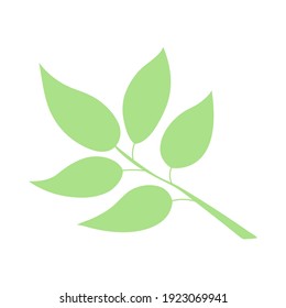 Green leaf, herbal element. Stock vector illustration isolated on white background. Can be used as an isolated sign, symbol, icon, for organic products. Spring botanical plant vector flat illustration