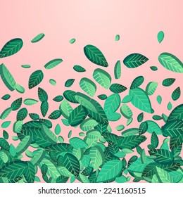 Green Leaf Herbal Vector Pink Background Illustration. Fly Greens Design. Lime Leaves Wind Template. Foliage Forest Background.