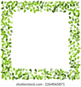 Green Leaf Herbal Vector Wallpaper. Falling Greens Poster. Swamp Leaves Swirl Brochure. Foliage Fresh Banner.