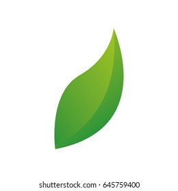 green leaf icon