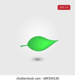 the green leaf icon