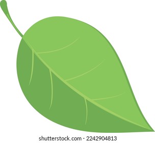 Icono de la hoja verde. Follaje de primavera del árbol de caricaturas aislado sobre fondo blanco