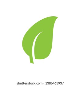 green leaf icon design concept