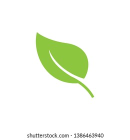 green leaf icon design concept