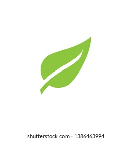 green leaf icon design concept