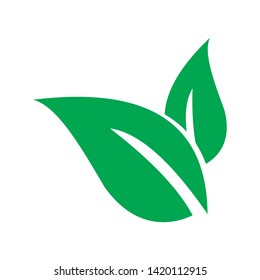 green leaf icon design concept