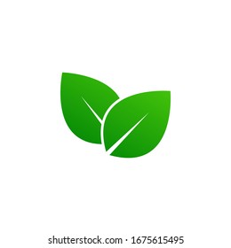 Green leaf icon design. Eco symbol concept isolated on white background. Vector illustration