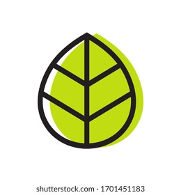 Green leaf icon design, isolated on white background