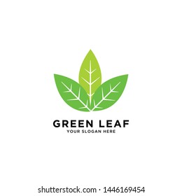 green leaf icon design template vector