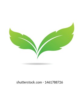 Green Leaf Icon design Vector Illustration