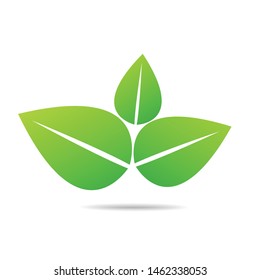 Green Leaf Icon design Vector Illustration