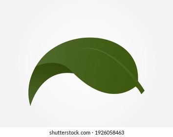 green leaf icon. eco, environment and nature symbol. isolated vector color image with gradient