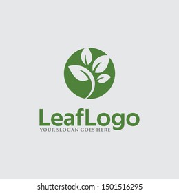 Green leaf icon eco logo vector design minimalist template element. Design Garden, Plant, Nature and Ecology vector logo.