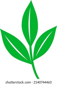 Icono de la hoja verde. Símbolo ecológico. Signo de nauro de limpieza