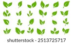 Green leaf icon in flat style, on white background. leaf icon set. nature icon, leaf vector illustration.