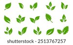 Green leaf icon in flat style, on white background. leaf icon set. nature icon, leaf vector illustration.