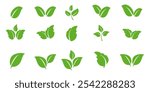 Green leaf icon in flat style, on white background. leaf icon set. nature icon, leaf vector illustration.