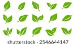 Green leaf icon in flat style, on white background. leaf icon set. nature icon, leaf vector illustration.