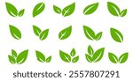 Green leaf icon in flat style, on white background. leaf icon set. nature icon, leaf vector illustration.