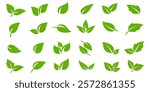 Green leaf icon in flat style, on white background. leaf icon set. nature icon, leaf vector illustration.
