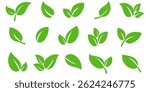 Green leaf icon in flat style, on white background. leaf icon set. nature icon, leaf vector illustration.