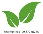 Green leaf icon in flat style, on white background. leaf icon set. nature icon, leaf vector illustration.