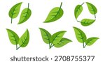 Green leaf icon in flat style, on white background. leaf icon set. nature icon, leaf vector illustration.