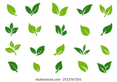 Green leaf icon in flat style, on white background. leaf icon set. nature icon, leaf vector illustration.