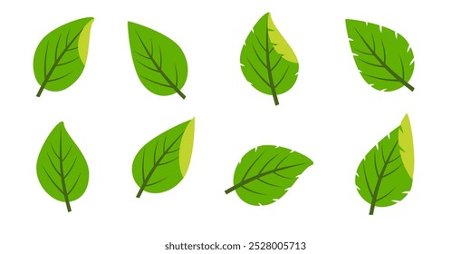 Icono de hoja verde en estilo plano, sobre fondo blanco. conjunto de iconos de hoja. icono de la naturaleza, Ilustración vectorial de la hoja.