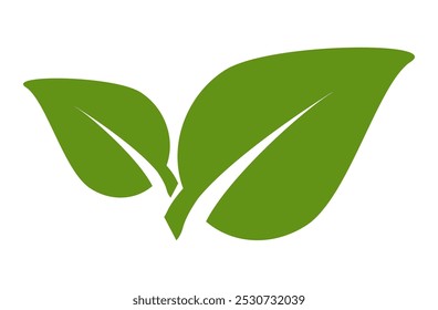Green leaf icon in flat style, on white background. leaf icon set. nature icon, leaf vector illustration.