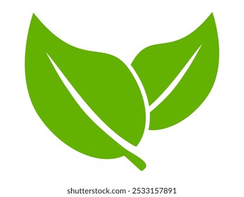 Green leaf icon in flat style, on white background. leaf icon set. nature icon, leaf vector illustration.