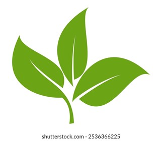 Green leaf icon in flat style, on white background. leaf icon set. nature icon, leaf vector illustration.