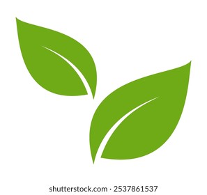 Green leaf icon in flat style, on white background. leaf icon set. nature icon, leaf vector illustration.