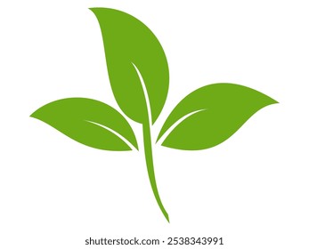 Icono de hoja verde en estilo plano, sobre fondo blanco. conjunto de iconos de hoja. icono de la naturaleza, Ilustración vectorial de la hoja.