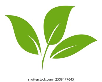 Icono de hoja verde en estilo plano, sobre fondo blanco. conjunto de iconos de hoja. icono de la naturaleza, Ilustración vectorial de la hoja.