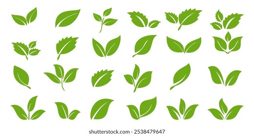 Green leaf icon in flat style, on white background. leaf icon set. nature icon, leaf vector illustration.