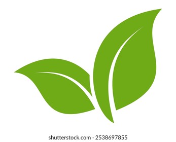 Green leaf icon in flat style, on white background. leaf icon set. nature icon, leaf vector illustration.