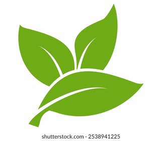 Green leaf icon in flat style, on white background. leaf icon set. nature icon, leaf vector illustration.