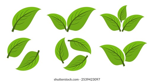 Green leaf icon in flat style, on white background. leaf icon set. nature icon, leaf vector illustration.