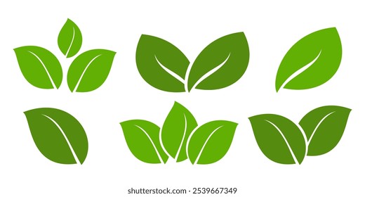 Grünes Blattsymbol im flachen Stil auf weißem Hintergrund. Blatt-Symbolsatz. Natursymbol, Blatt-Vektorgrafik.