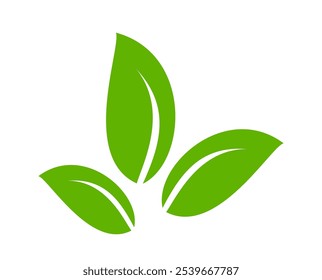 Green leaf icon in flat style, on white background. leaf icon set. nature icon, leaf vector illustration.