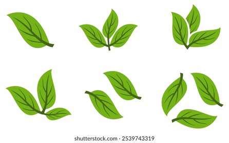 Icono de hoja verde en estilo plano, sobre fondo blanco. conjunto de iconos de hoja. icono de la naturaleza, Ilustración vectorial de la hoja.