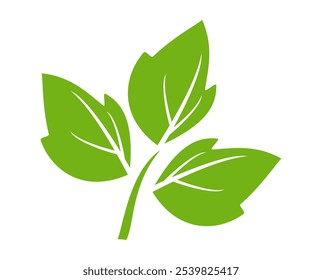 Grünes Blattsymbol im flachen Stil auf weißem Hintergrund. Blatt-Symbolsatz. Natursymbol, Blatt-Vektorgrafik.