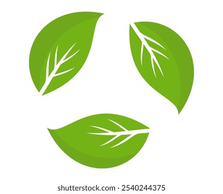 Green leaf icon in flat style, on white background. leaf icon set. nature icon, leaf vector illustration.